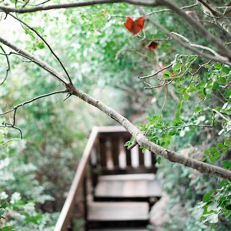 Villa Live In The Woods Mikhmannim Exterior foto
